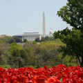 DSC02521.JPG