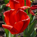 DSC02522.JPG