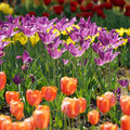 DSC02537.JPG