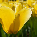 DSC02540.JPG