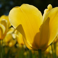 DSC02541.JPG