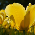 DSC02542.JPG