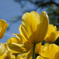 DSC02544.JPG