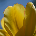 DSC02545.JPG