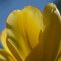 DSC02546.JPG