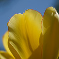 DSC02547.JPG