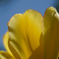 DSC02548.JPG