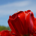 DSC02549.JPG