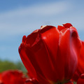 DSC02550.JPG