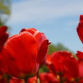 DSC02551.JPG
