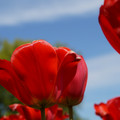 DSC02554.JPG