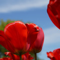 DSC02555.JPG