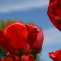 DSC02556.JPG