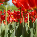 DSC02557.JPG