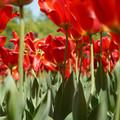 DSC02558.JPG