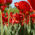 DSC02559.JPG