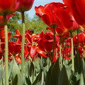 DSC02560.JPG