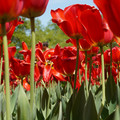 DSC02561.JPG