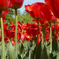 DSC02562.JPG