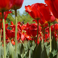 DSC02564.JPG