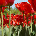 DSC02565.JPG