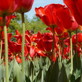 DSC02566.JPG