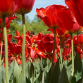DSC02567.JPG