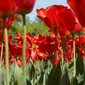 DSC02568.JPG