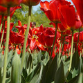 DSC02569.JPG