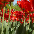DSC02570.JPG
