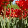 DSC02571.JPG