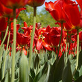 DSC02572.JPG