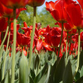 DSC02573.JPG