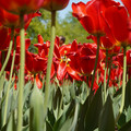 DSC02574.JPG
