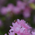 DSC02576.JPG
