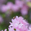 DSC02577.JPG
