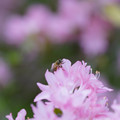 DSC02578.JPG