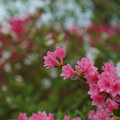DSC02580.JPG