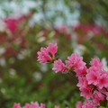 DSC02581.JPG