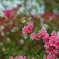DSC02583.JPG