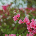 DSC02584.JPG