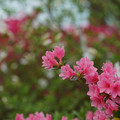 DSC02585.JPG