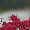 DSC02586.JPG