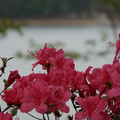 DSC02588.JPG
