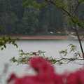 DSC02589.JPG