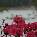 DSC02590.JPG