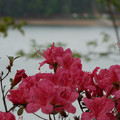 DSC02591.JPG