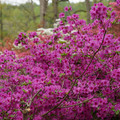 DSC02599.JPG