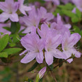 DSC02616.JPG