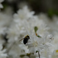 DSC02621.JPG